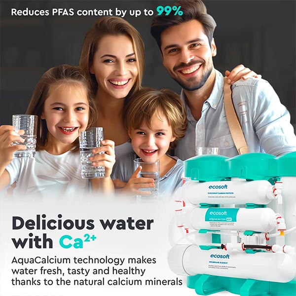 ecosoft-pure-aquacalcium-mint-minerals