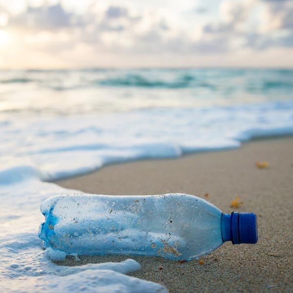 single-use-plastic-bottled-waste